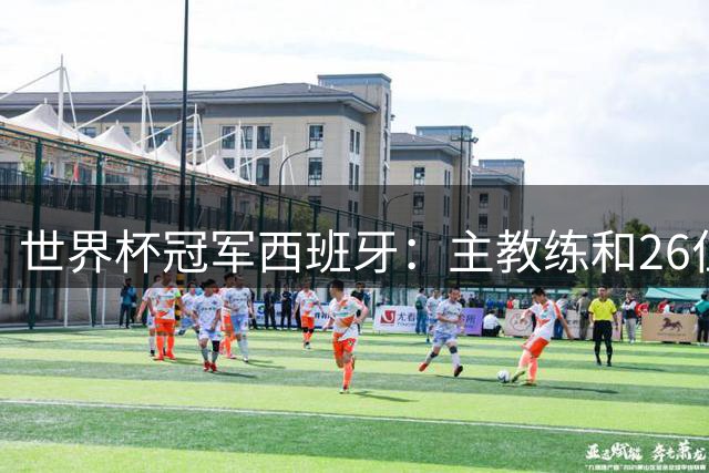 世界杯冠军西班牙：主教练和26位球员出生在哪些城市？